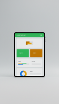 Digital Client Report With Infographics